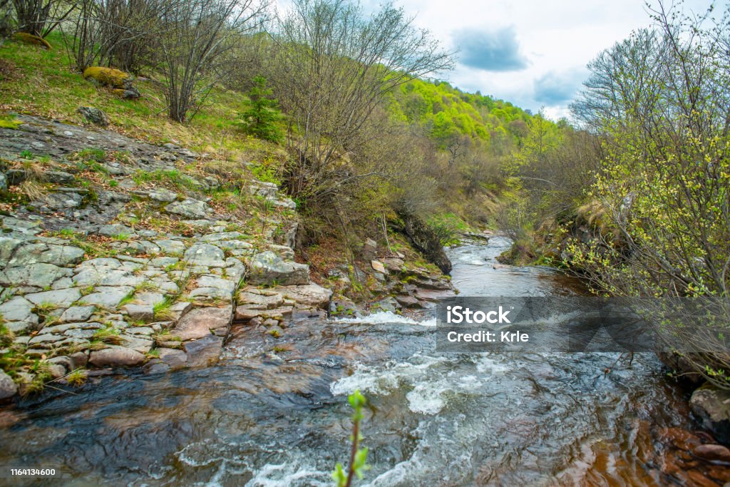 Râul de munte Dojkin - Fotografie de stoc Anotimp fără redevențe Râul de munte Dojkin - Fotografie de stoc Anotimp fără redevențe