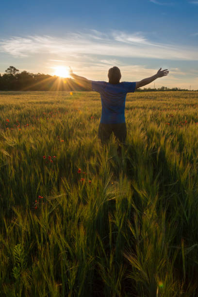 istock Landscape with wheat field and man 1164138095