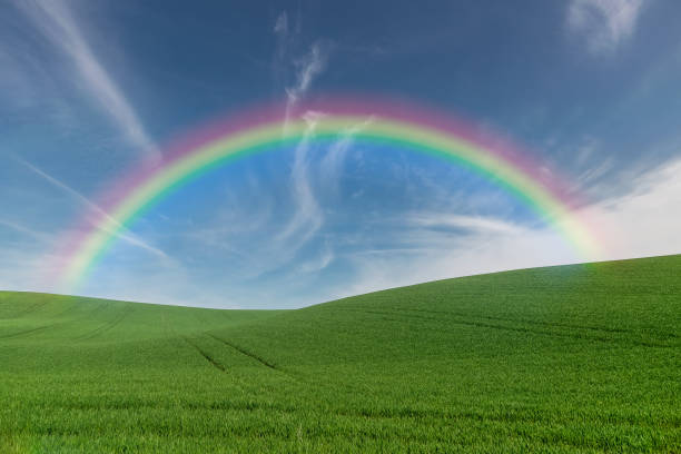 istock Summer farmland with rainbow 1164142350