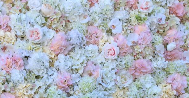 istock Review Flowers 1164142360