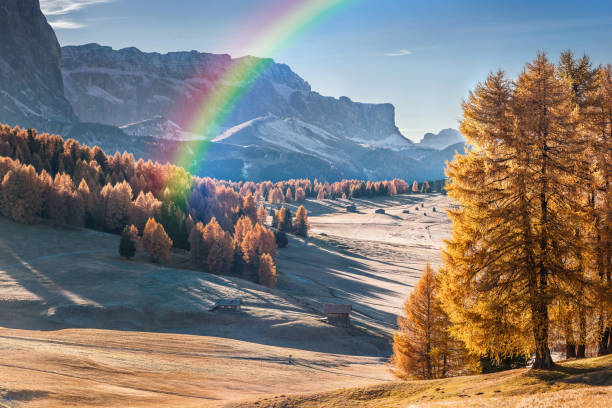 istock Mountan in Alpe de Siusi 1164142666