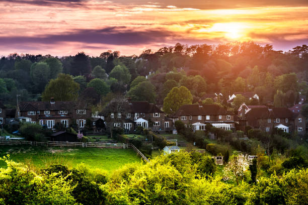 istock Green field in London, UK 1164150558