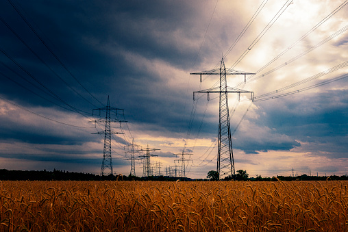 Electricity Pylon in a wheat field