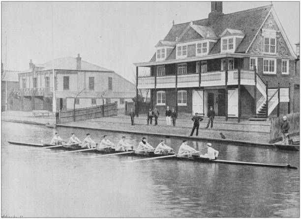античная фотография: гребля кембриджского экипажа - rowing rowboat sport rowing oar stock illustrations
