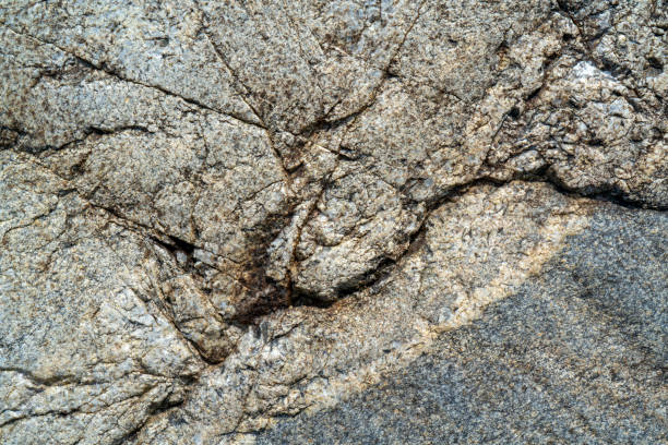istock The texture of granite. 1164154852