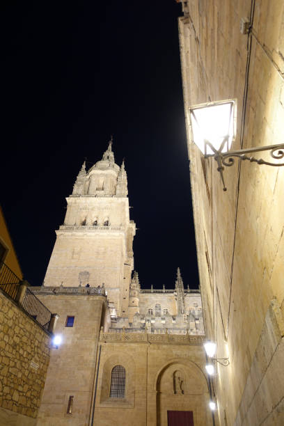 istock Salamanca, Spain 1164157485