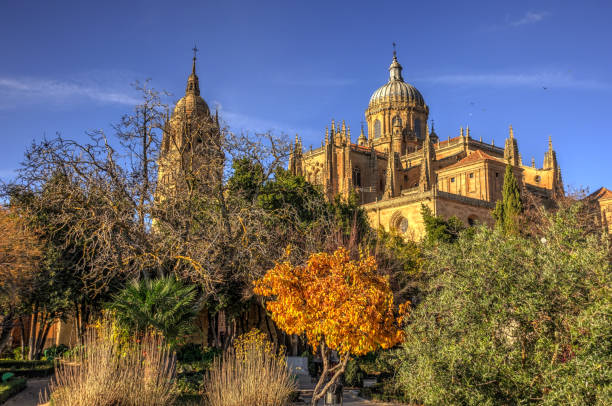istock Salamanca, Spain 1164158727