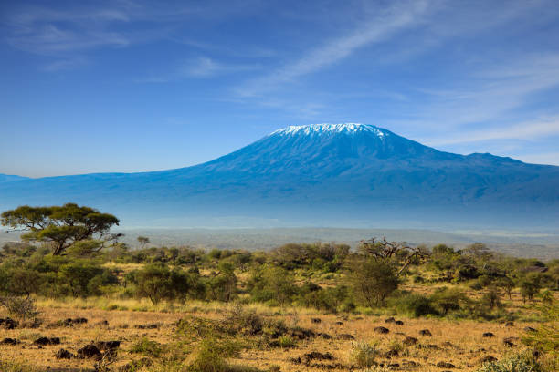istock Interesting trip to Kenya, Africa 1164160398
