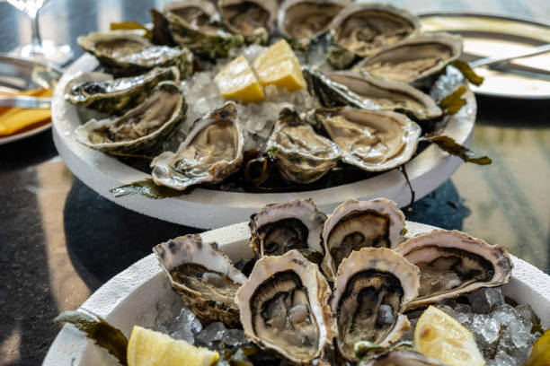 istock Fresh oysters with cut juicy lemon on two plates 1164161774