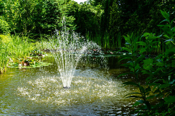 istock Water streams fall on emerald surface of pond. In background are blooming water lilies Marliacea Rosea. 1164161862