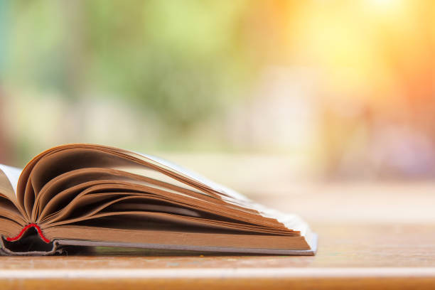 istock An open book on a rustic wooden table with nature in the background 1164165719