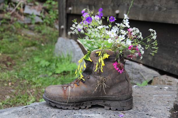 istock Unusual garden decoration 1164167234