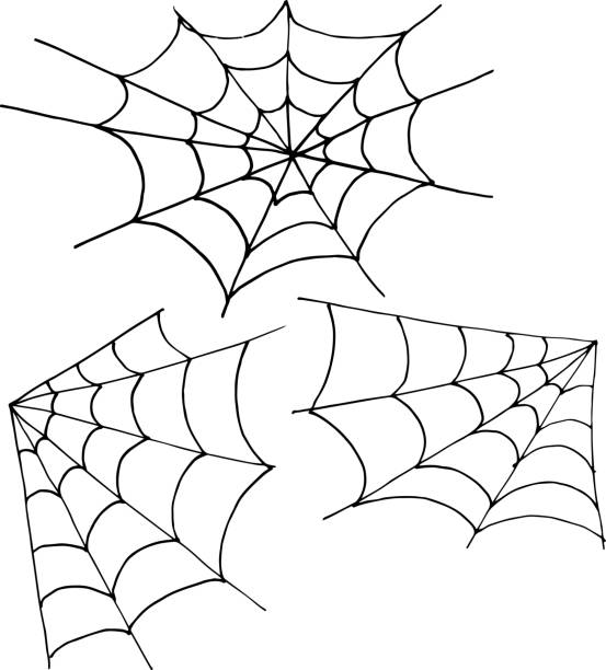 satz von web-ecke und rund auf einem weißen hintergrund. vektor-handzeichnung illustration - spinnennetz stock-grafiken, -clipart, -cartoons und -symbole