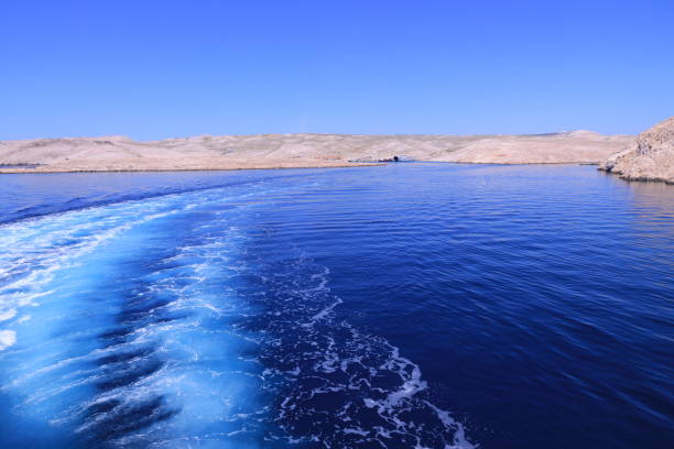 istock Wake of a ferry on a sea, Croatia 1164169095