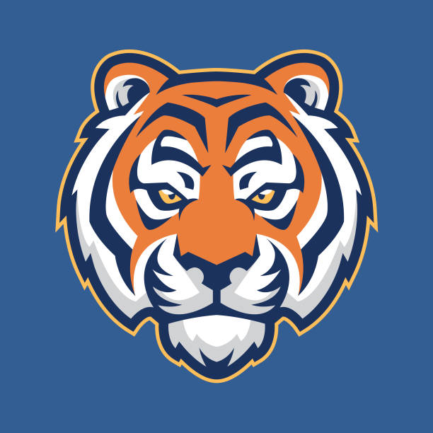 Tiger Head Mascot Vector Illustration Tiger head graphic created in Adobe Illustrator tiger mascot stock illustrations