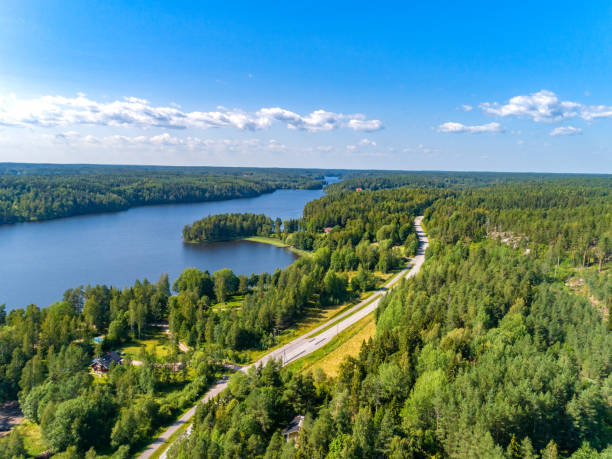 aerial view of blue lakes and pine forests on a sunny summer day in finland - coastline aerial view forest pond imagens e fotografias de stock