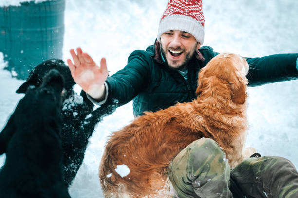 istock Happy man with a golden retriever dog 1164171487