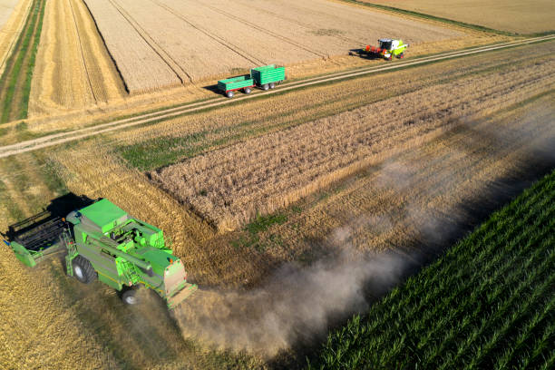 istock Combine Harvesters and Trailers on a Field, Aerial view 1164179335
