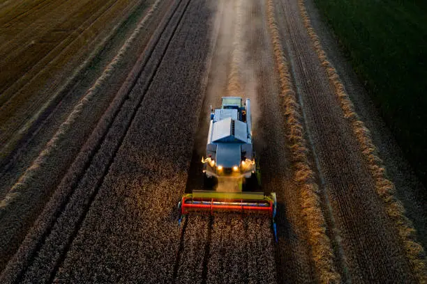 Aerial view of a combine harvester working on a large wheat field at night.