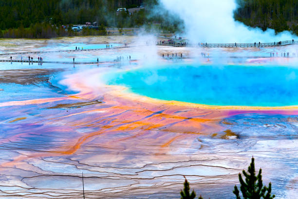 Yellowstone National Park, USA - September 18, 2019. Tourists on boardwalk at Grand Prismatic Spring in Yellowstone National Park, Wyoming, USA
