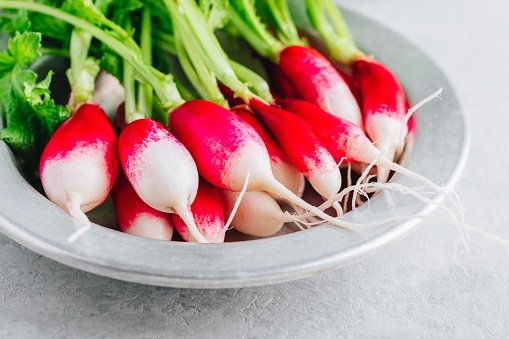 Fresh raw organic radishes in a bowl on a gray stone background. Ingredient for a healthy green salad