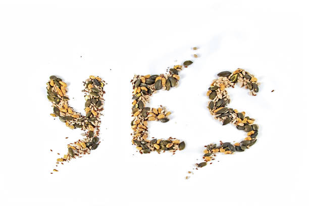Word YES lined with mixed seed and nut isolated on white background
