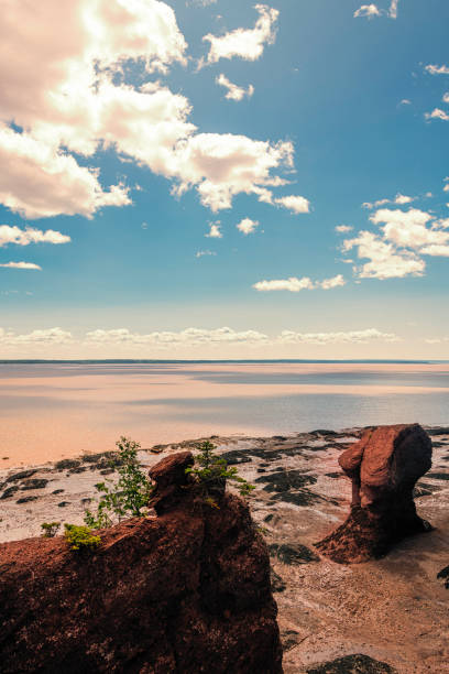 450+ Hopewell Rocks Beach Stock Photos, Pictures & Royalty-Free
