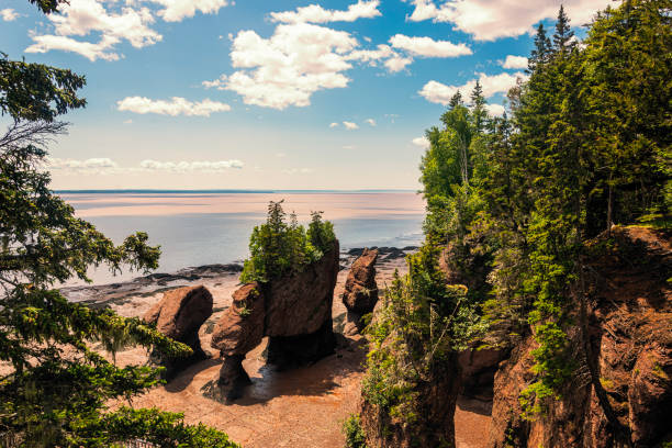 Hopewell Rocks, Bay of Fundy, New Brunswick, Canada Wikipedia (https://en.wikipedia.org/wiki/Hopewell_Rocks): 
The Hopewell Rocks, also called the Flowerpots Rocks or simply The Rocks, are rock formations caused by tidal erosion in The Hopewell Rocks Ocean Tidal Exploration Site in New Brunswick [Canada]. They stand 40–70 feet tall.

They are located on the shores of the upper reaches of the Bay of Fundy at Hopewell Cape near the end of a series of Fundy coastal tourism hubs including Fundy National Park and the Fundy Trail. new brunswick canada photos stock pictures, royalty-free photos & images