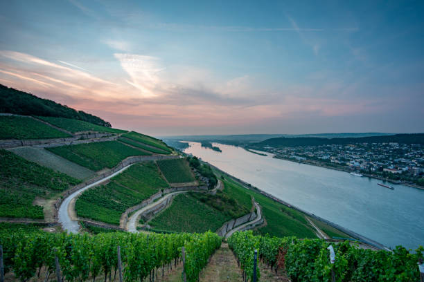 istock Rudehsiem on the Rhine 1164183620