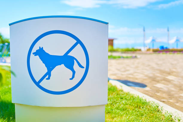 istock Dog prohibition sign. 1164184407