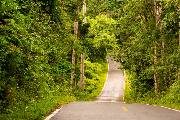 istock long road and curve pass forest on hills 1164185987