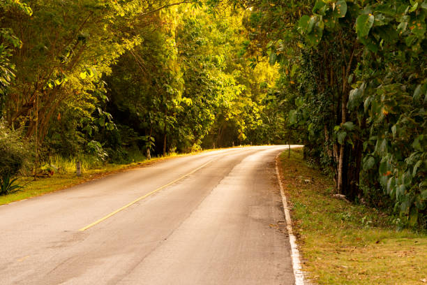 long road and curve pass forest on hills