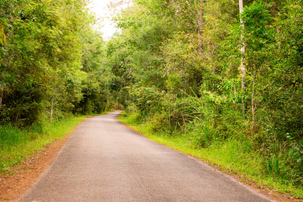 istock long road and curve pass forest on hills 1164186036