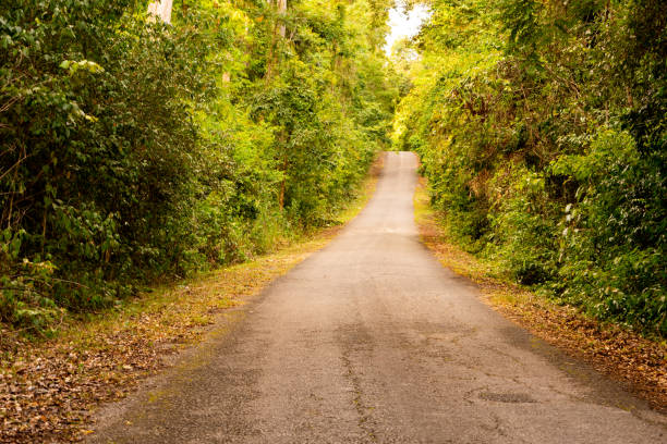 istock long road and curve pass forest on hills 1164186060