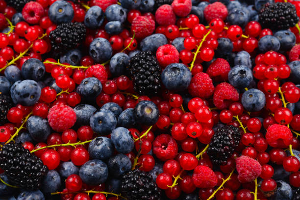 istock Blackberry, raspberry, blueberry,  red currant and mint background. 1164186136