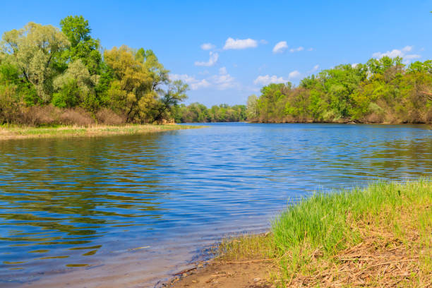 istock Summer landscape with beautiful river, green trees and blue sky 1164188435