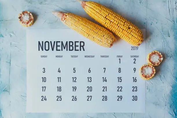Photo of November Calendar. Autumn and Fall season concept. Harvest time.