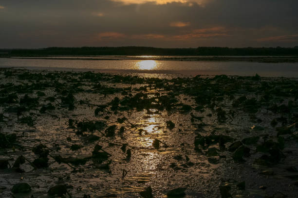 istock Kushugumskie melt on the Dnipro river 1164190966