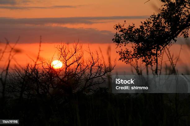 African Wschód Słońca - zdjęcia stockowe i więcej obrazów Afryka - Afryka, Bez ludzi, Brzask