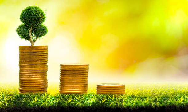 istock Trees with money, saving money and growing hands. 1164192120