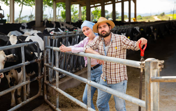 istock Ordinary female and man standing during break 1164195178