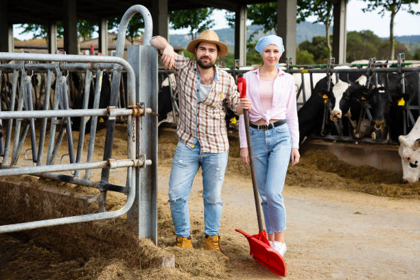 istock Two farmers posing on dairy farm 1164195182