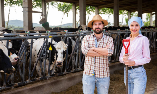 istock Owners of dairy farm standing in stall 1164195185