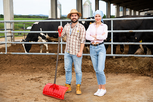 Portrait of successful young couple of professional breeders standing in cowshed