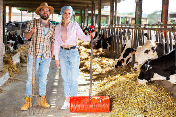 istock Two farmers posing on dairy farm 1164195189