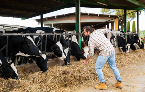istock Active man farmer with shovel working at farm 1164195213