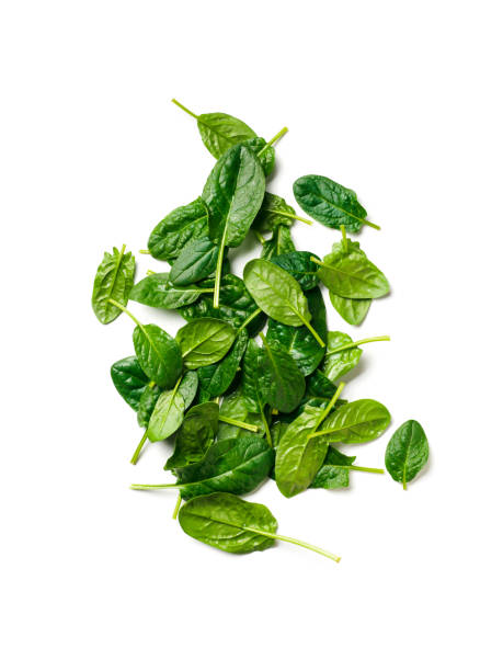 Heap of baby spinach isolated Heap of baby spinach leaves. Fresh green baby spinach isolated on white with clipping path. Top view or flat lay. Vertical. spinach stock pictures, royalty-free photos & images