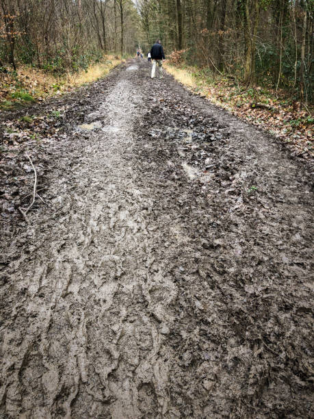 Walking a mud path in the forest after heavy rainfall, muddy hiking trail outdoors, Amay, Belgium, Europe