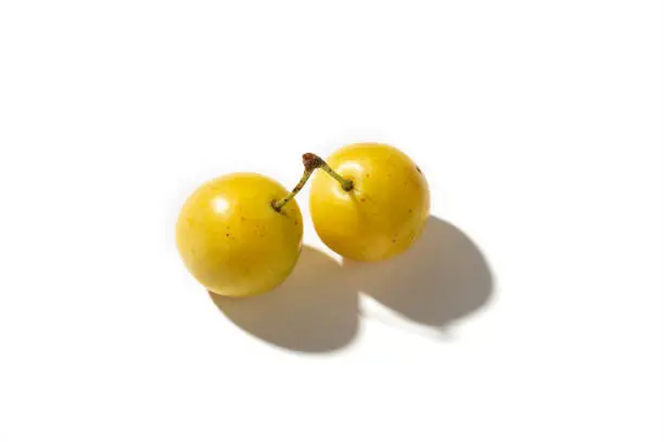Yellow plum mirabelle fruit isolated on white background. Prunus domestica