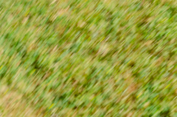 istock Blurry soft green background with 45 degree angle streaks 1164197624